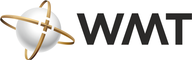  ТЕРАПЕВТИЧЕСКИЙ СТАЦИОНАР КЛИНИКИ WMT 