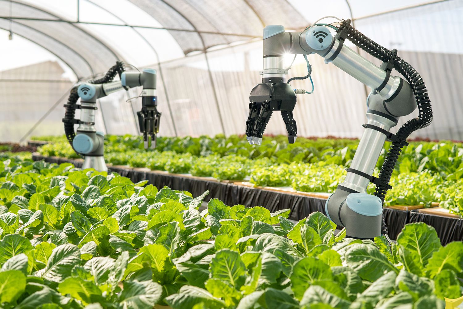 Роботизация сельского хозяйства