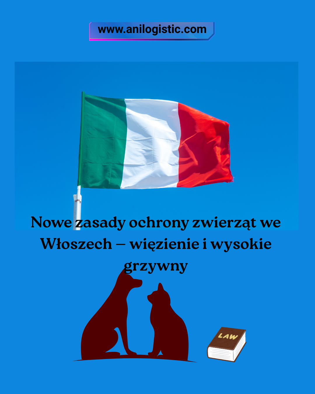 Włochy wzmacniają prawa zwierząt: ustawa nr 82 wprowadza więzienie i wysokie grzywny