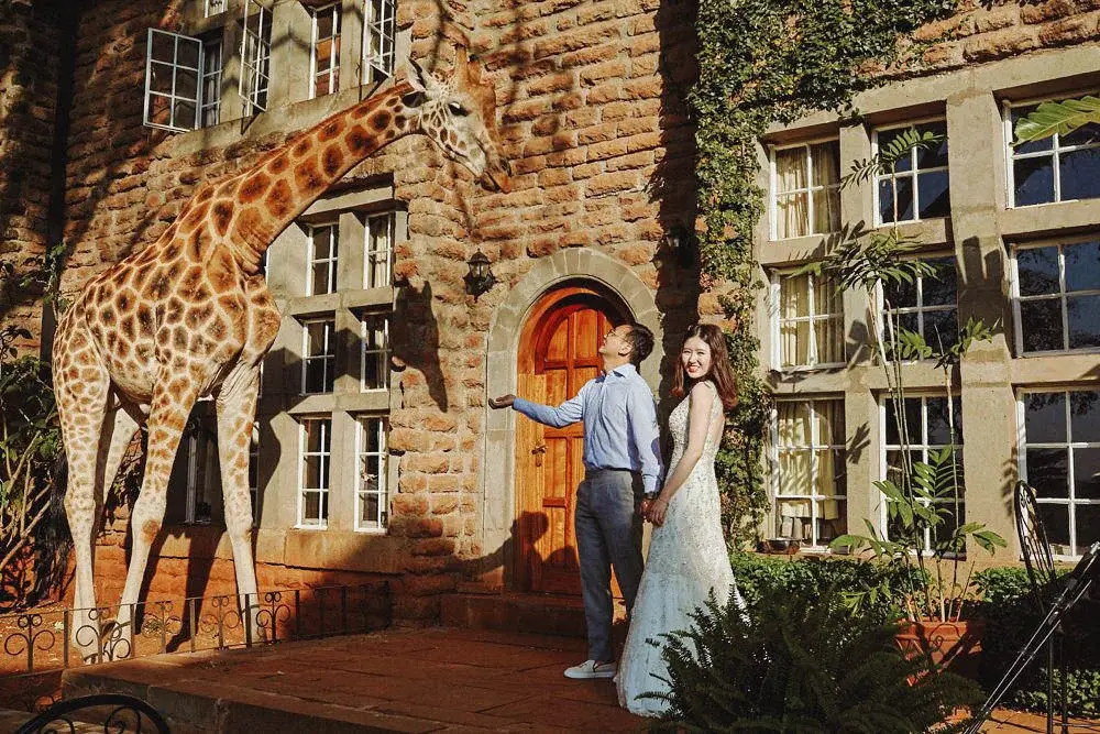 Rothschild Giraffe Pre-Wedding Photography Experience Kenya