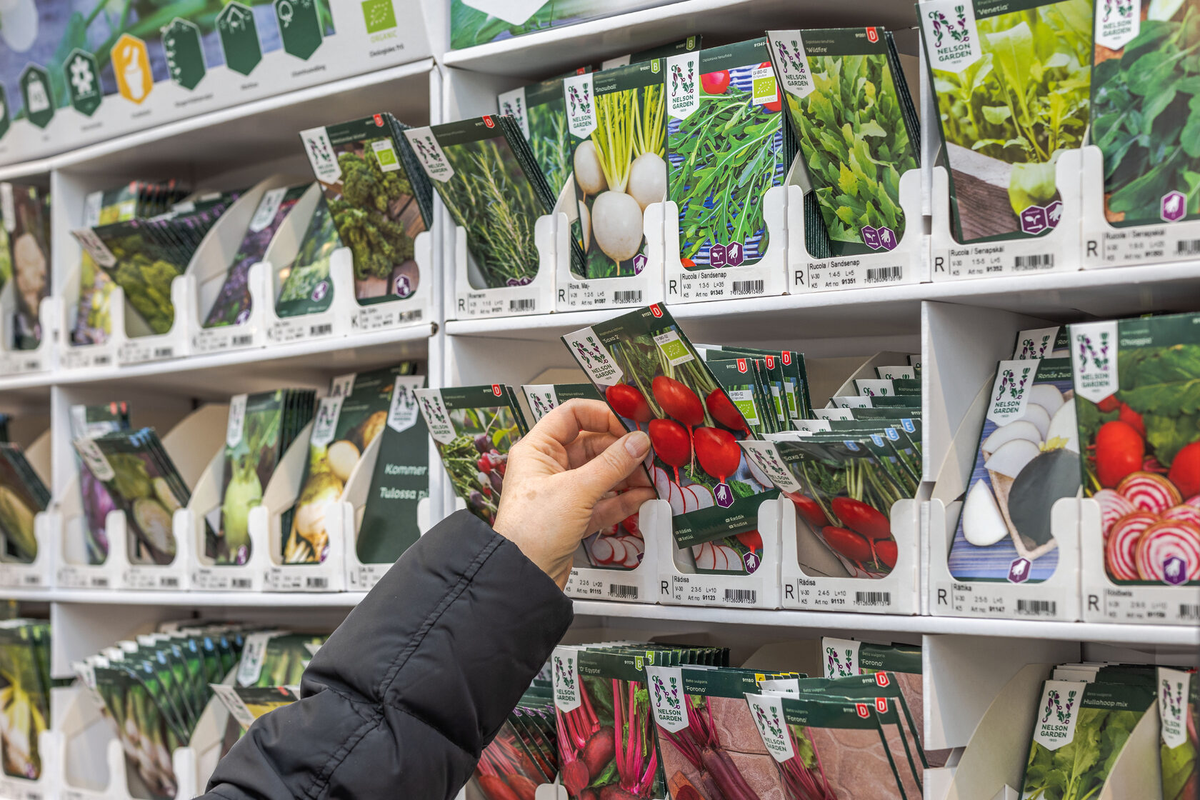 Hand selecting seed packets from a display, featuring heirloom and F1 hybrid vegetable varieties, emphasizing gardening choices for beginners.