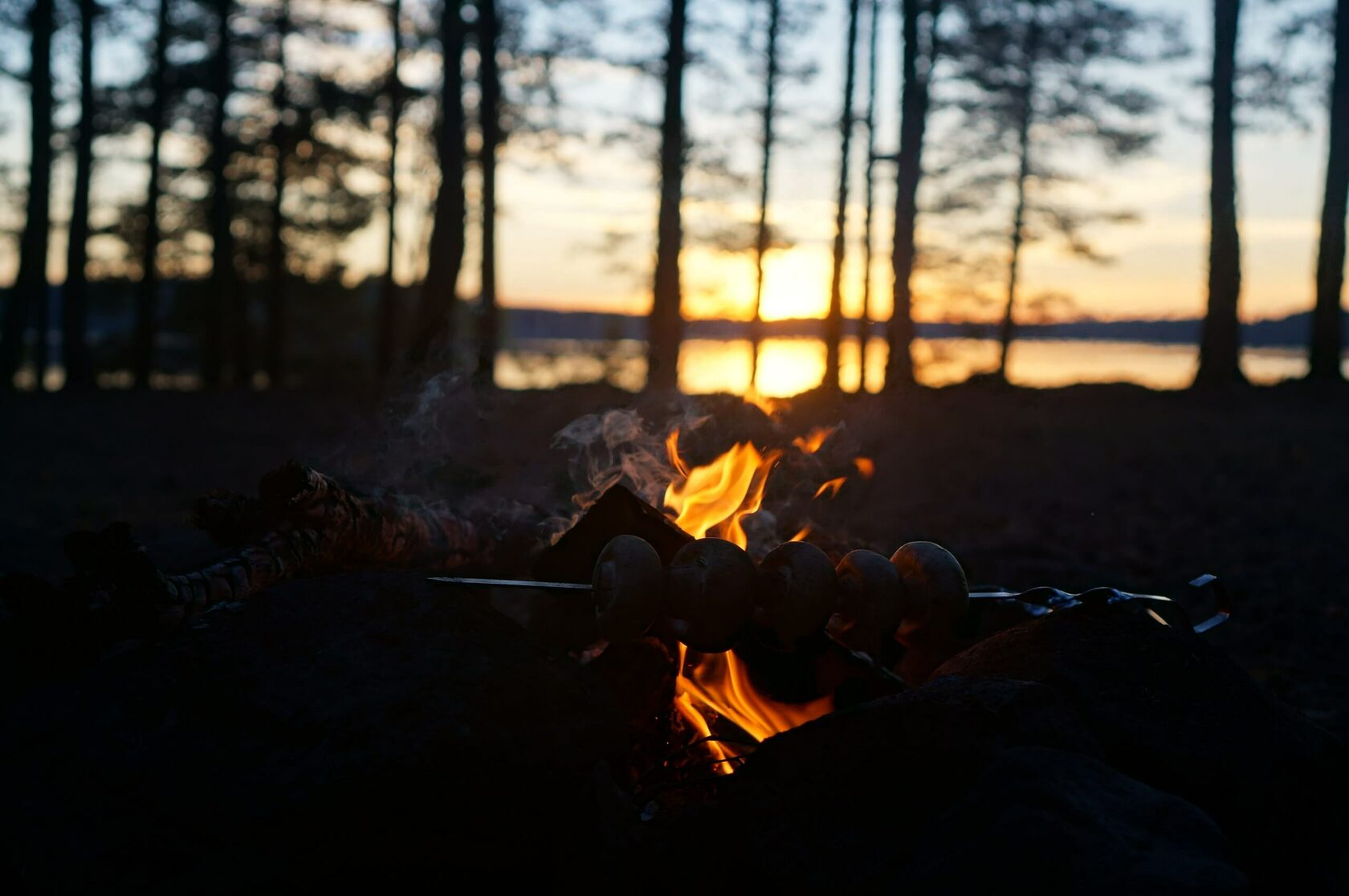 Экоотель «Лес» — photo 5