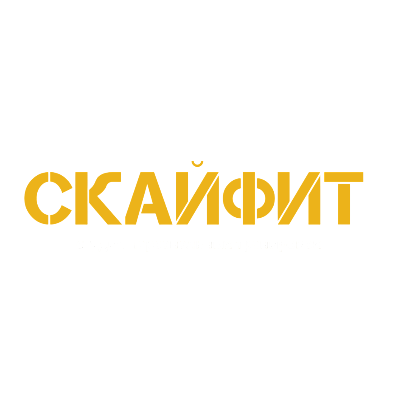 СКАЙФИТ