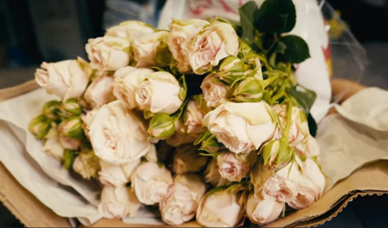 Розы от плантации Subati