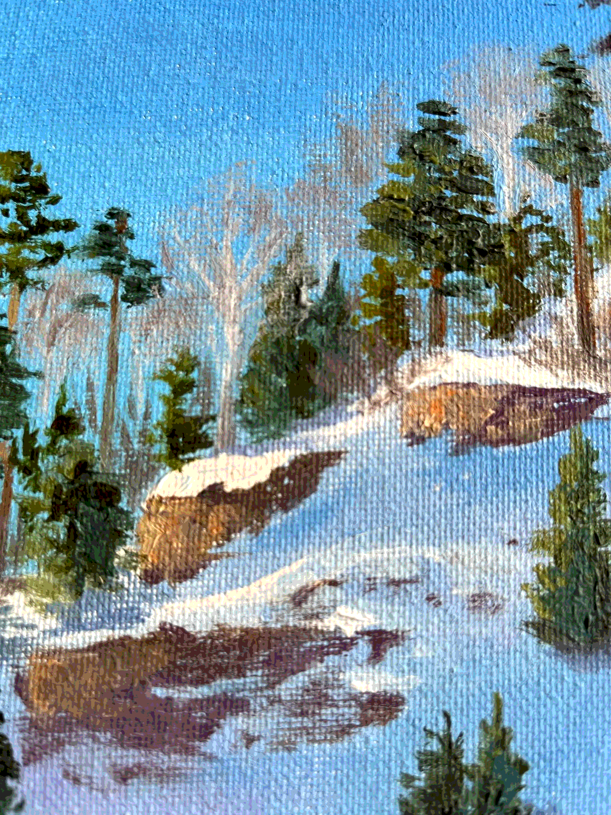 картина на заказ Бирюсинский залив Ольги Васильковой