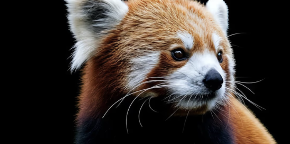 Каталожная съёмка YOUNOWA — fashion e-commerce контент, аксессуар и образ модели