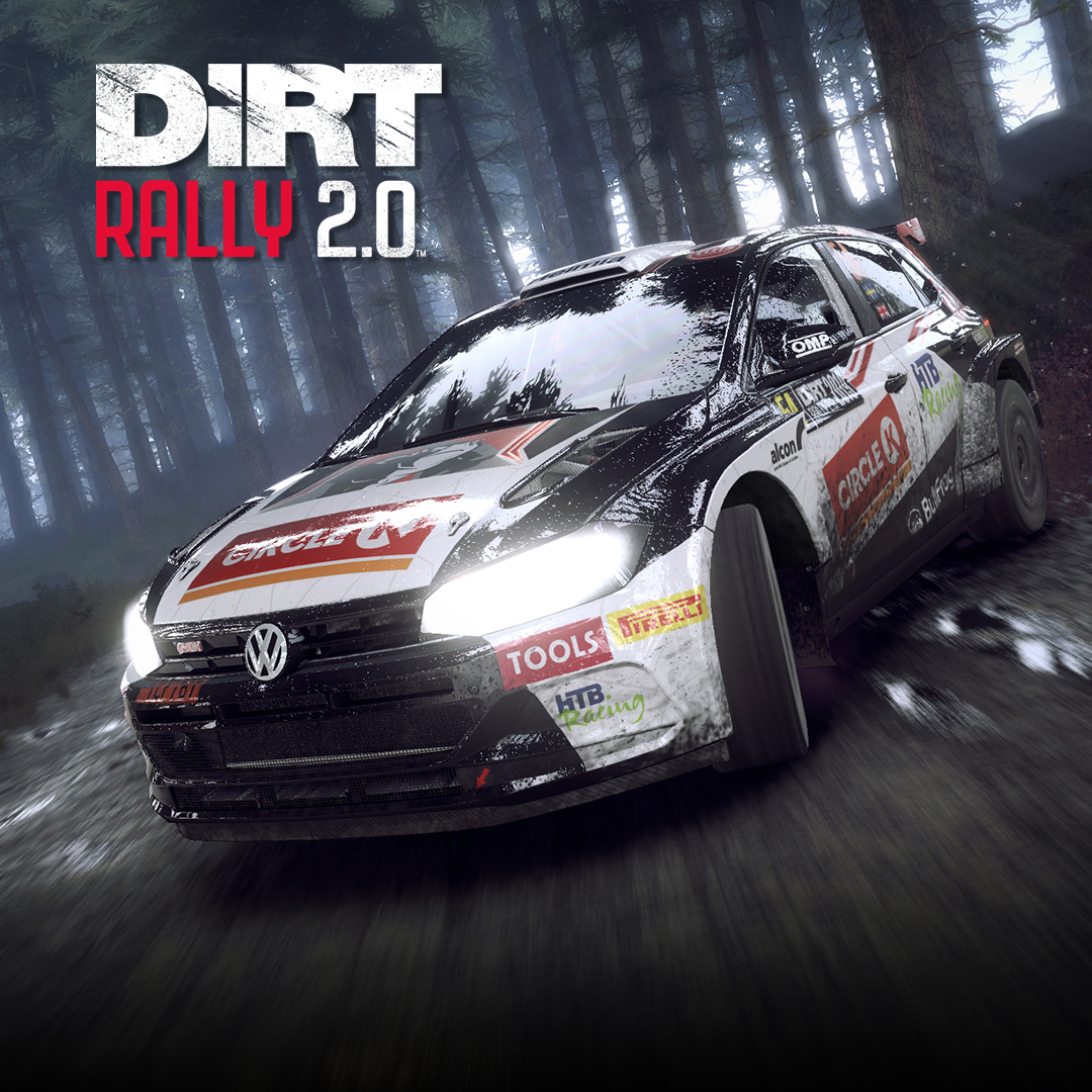 Dirt rally steam apir dll фото 2