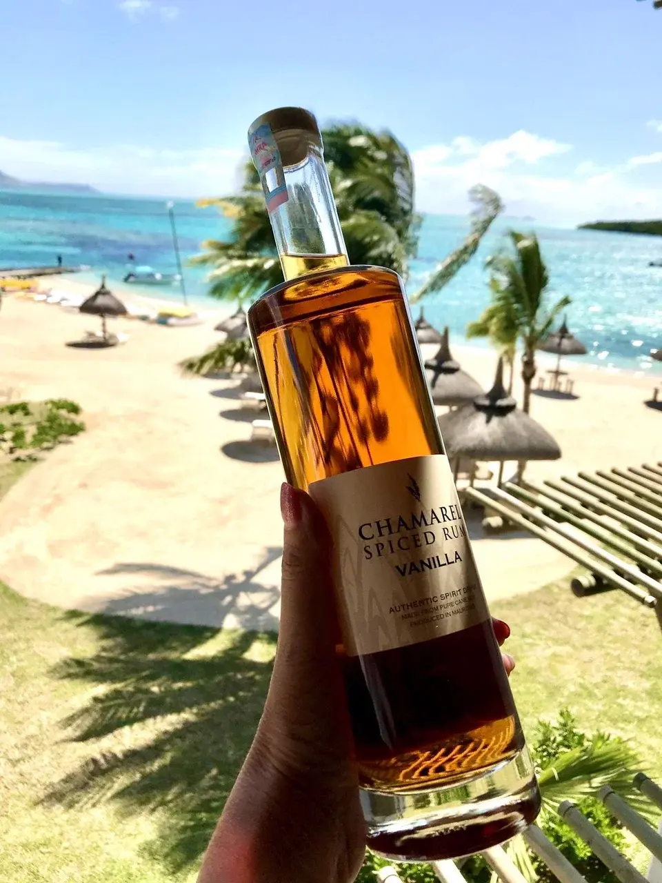 Экскурсия в Шамарель на Маврикии