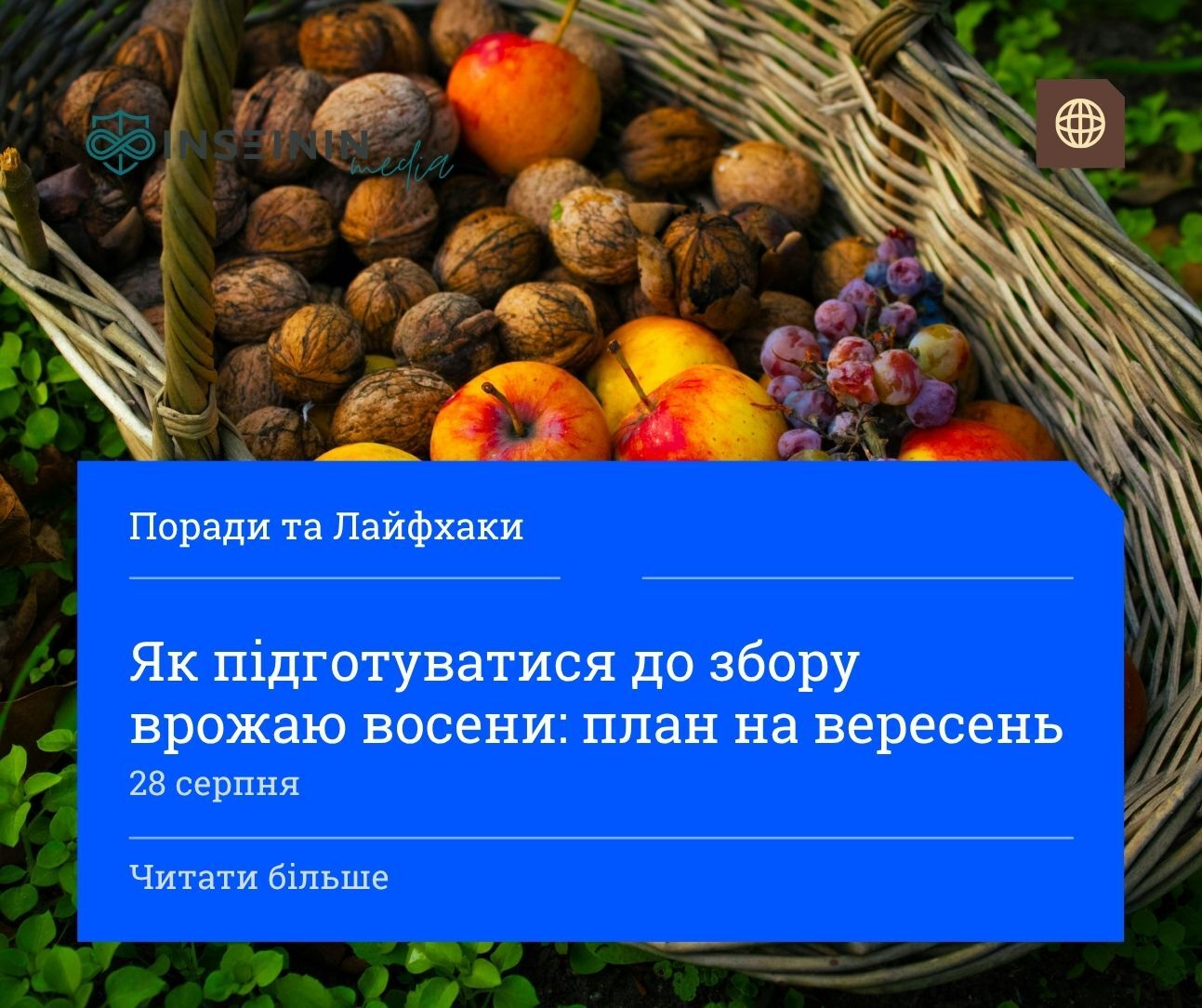 Як підготуватися до збору врожаю восени: план на вересень