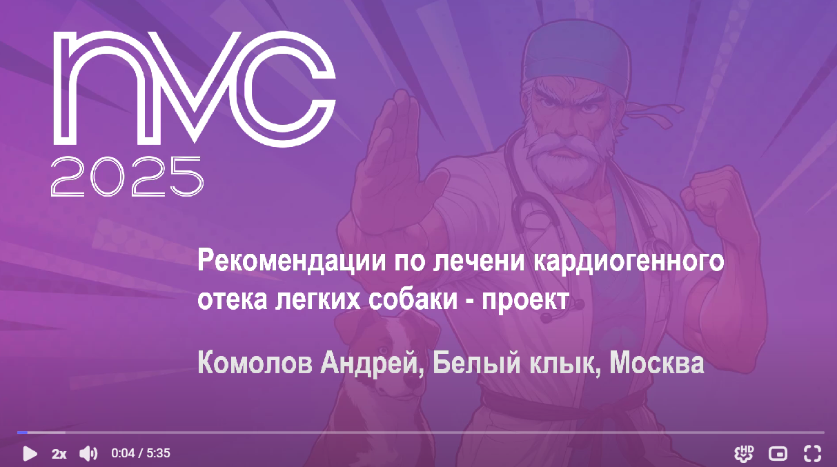 Оригинальная обложка презентации НВК 2025