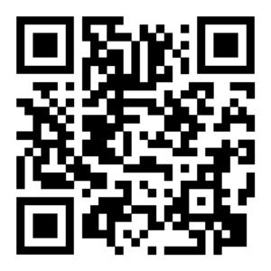 website icon