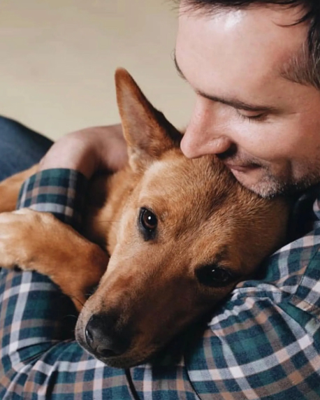 Зоогостиница