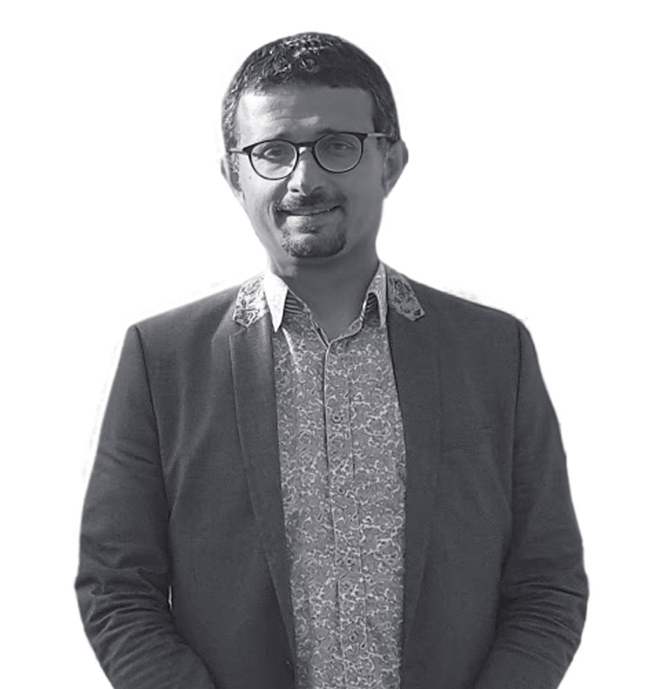 Жеребцов Дмитрий, ментор