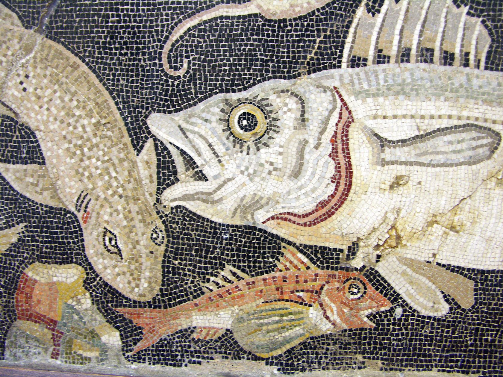 раннехристианская мозаика древнего рима. фреска рыба. древний рим мозаики помпеи. подводное царство, мозаика. обитатели морских глубин помпеи мозаика.