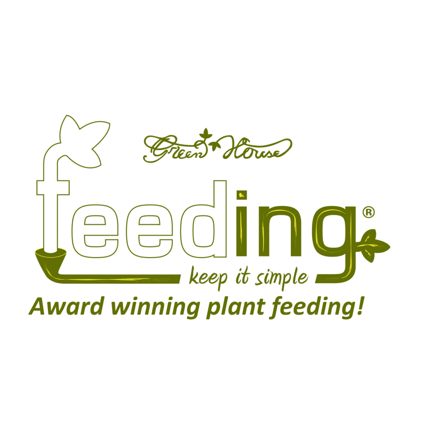 Feed правильном. Chicken feed. Неправильная форма глагола feed. Vfeed значок. Diego logo.