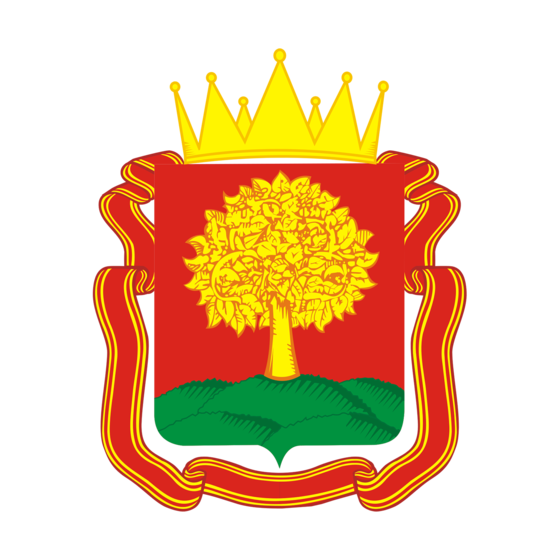 Проекты Лиги Самбо