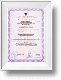 Приложение к сертификату