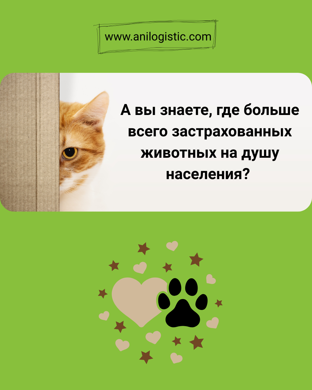 Страхование животных в Швеции — 90% собак и 50% кошек застрахованы