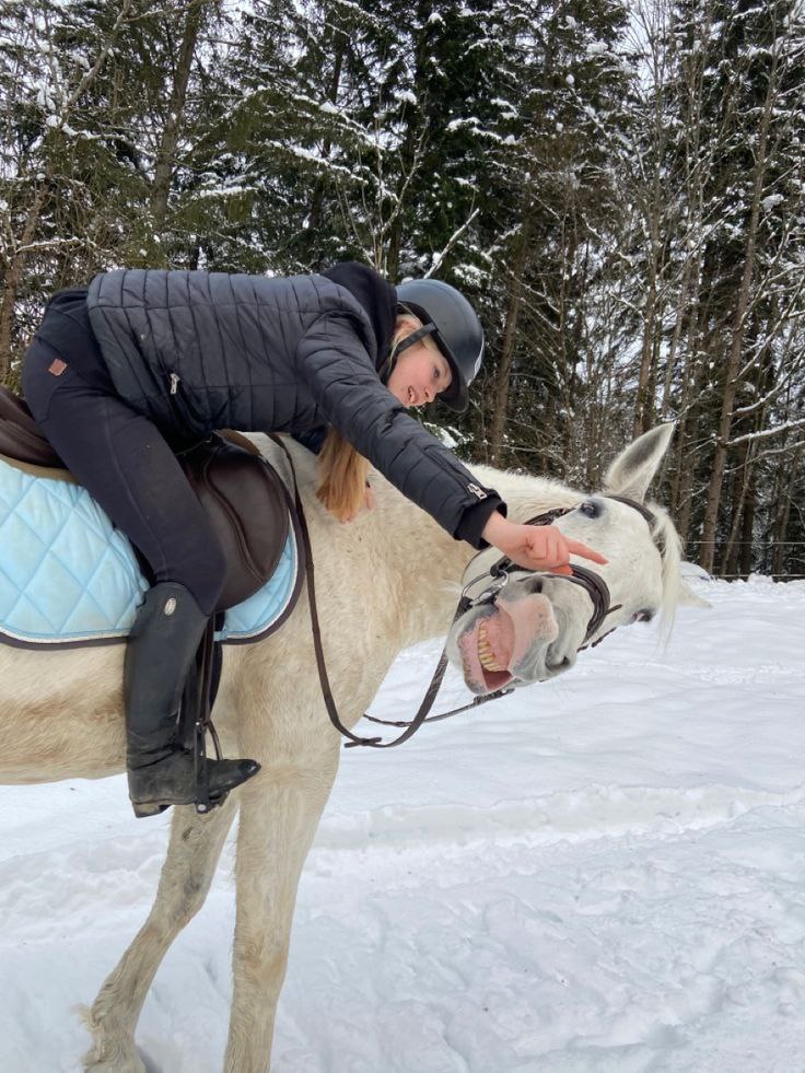 Дикие Ели — Скандинавские домики в лесу для отдыха