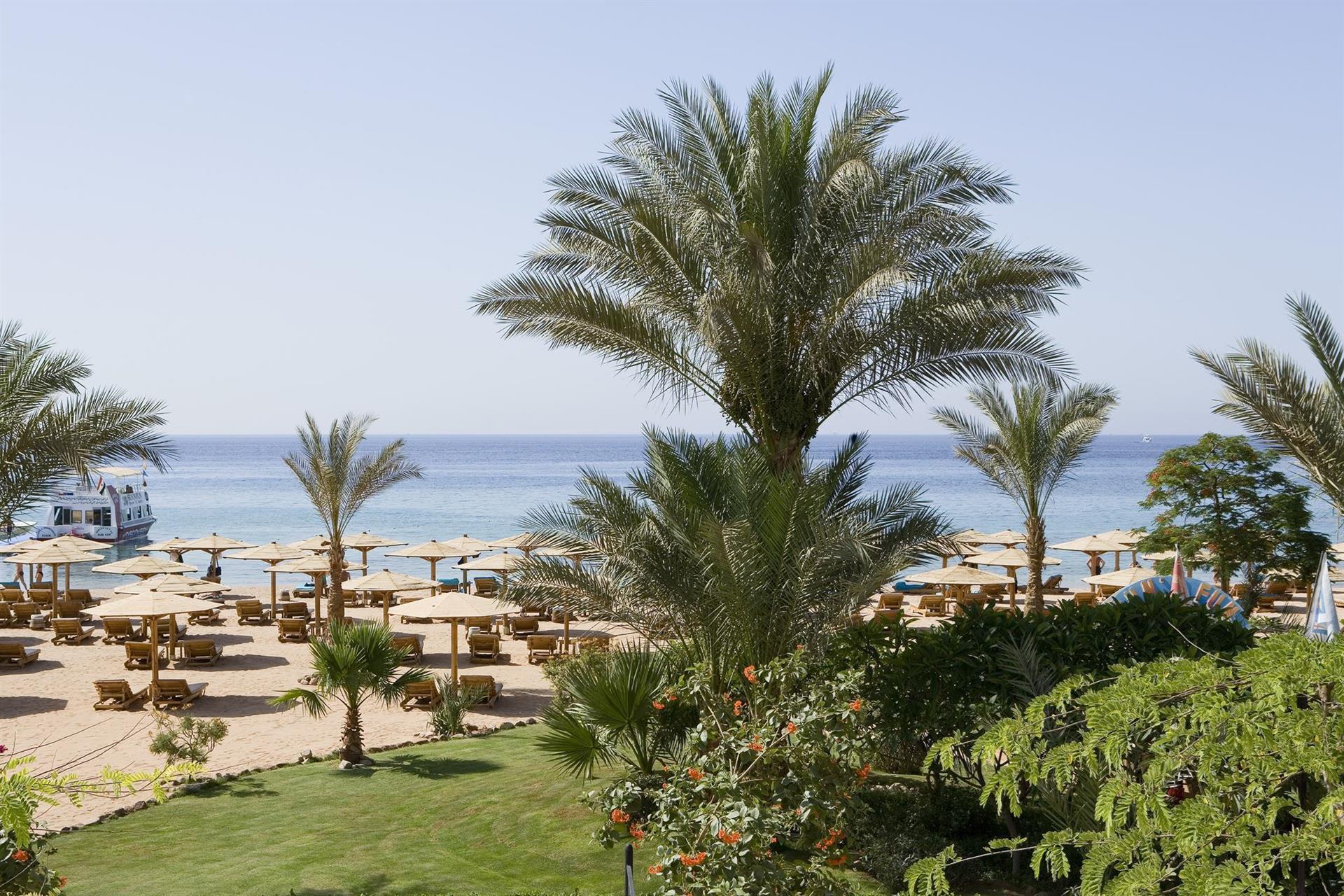 Новотель шарм эль. Новотель Бич Шарм-Эль-Шейх. Novotel Beach Sharm el Sheikh 5 Египет. Novotel Шарм-Эль-Шейх Palm Египет. Новотель Бич Шарм-Эль-Шейх 5.