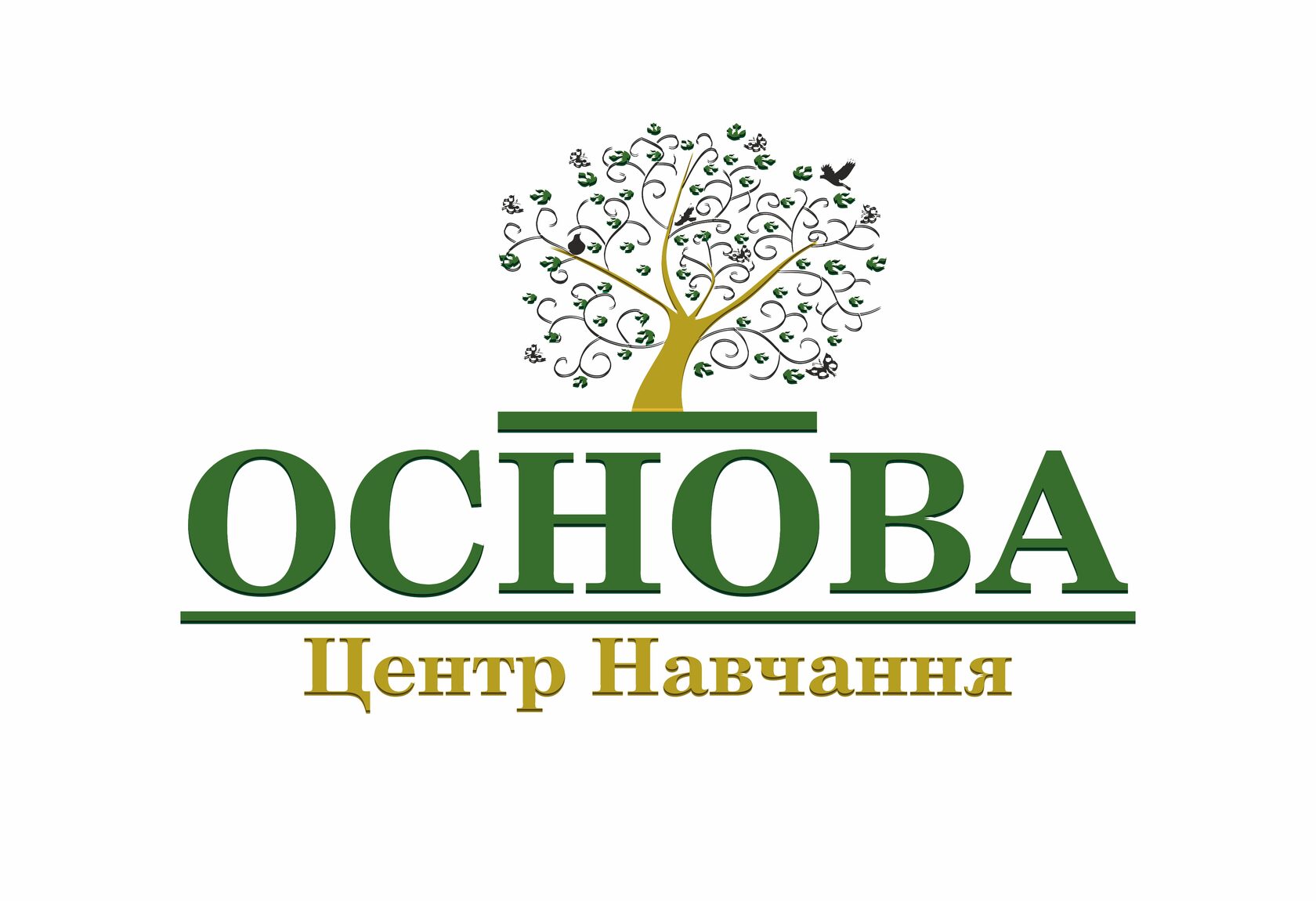 Основа центр