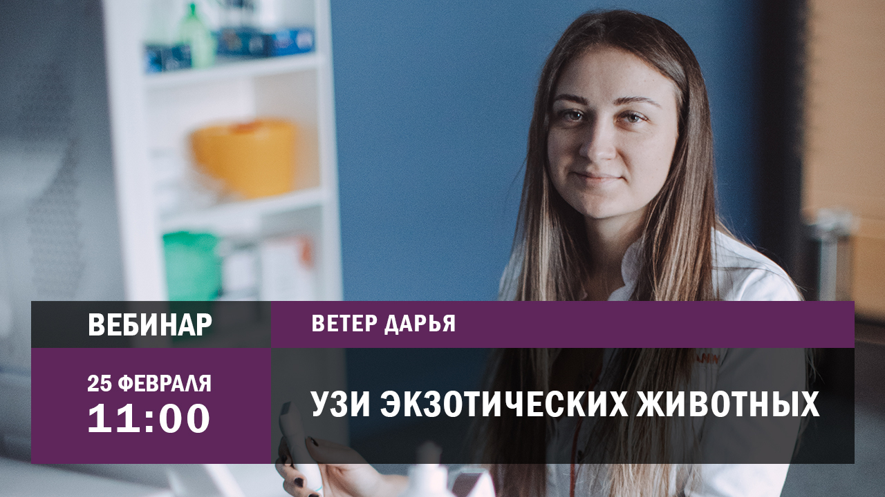 Лапшина Узи Липецк