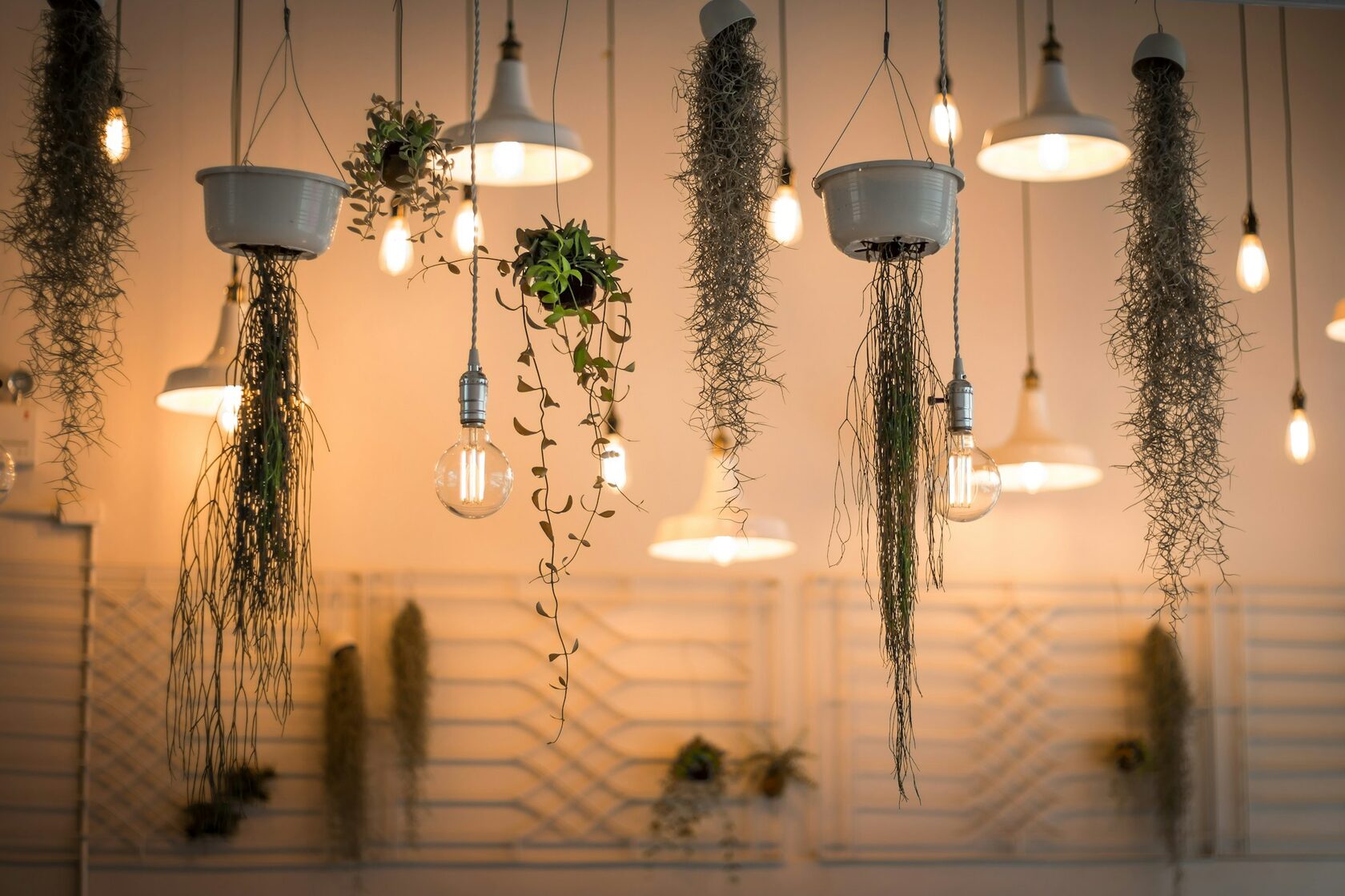 Lumen — фото 1