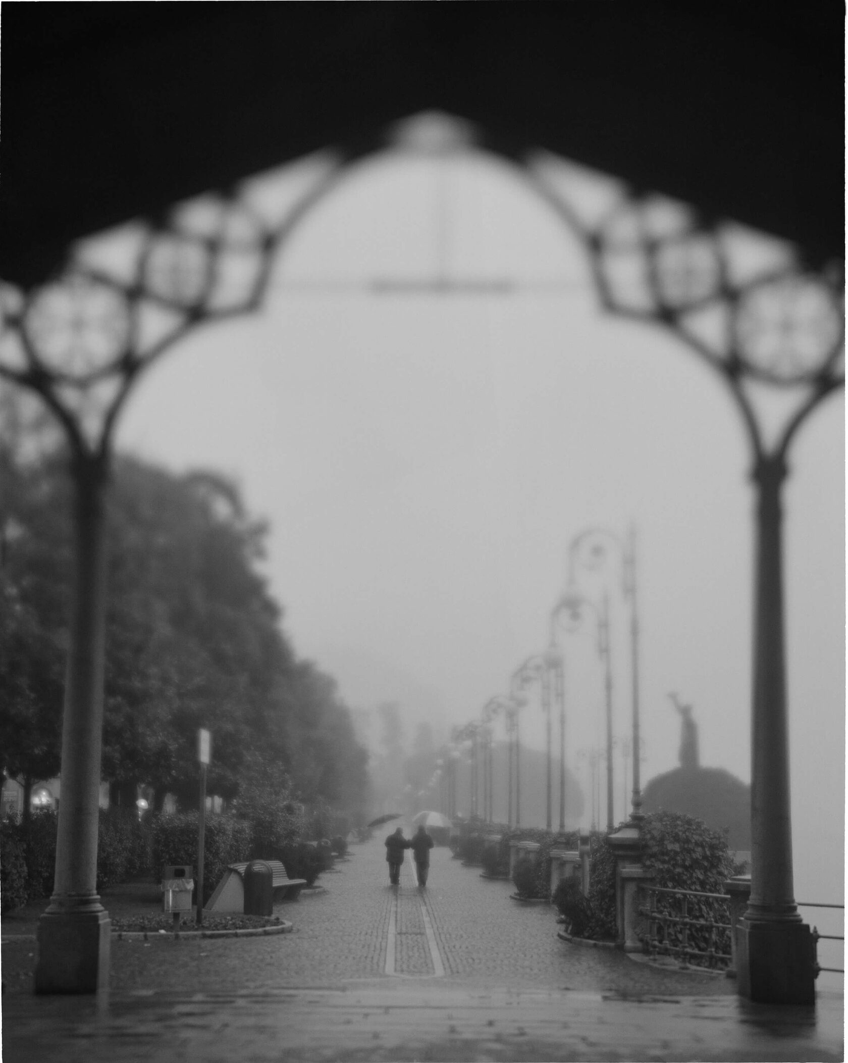 Duet. Verbania. Italy. BW negative 4x5 inch 2009