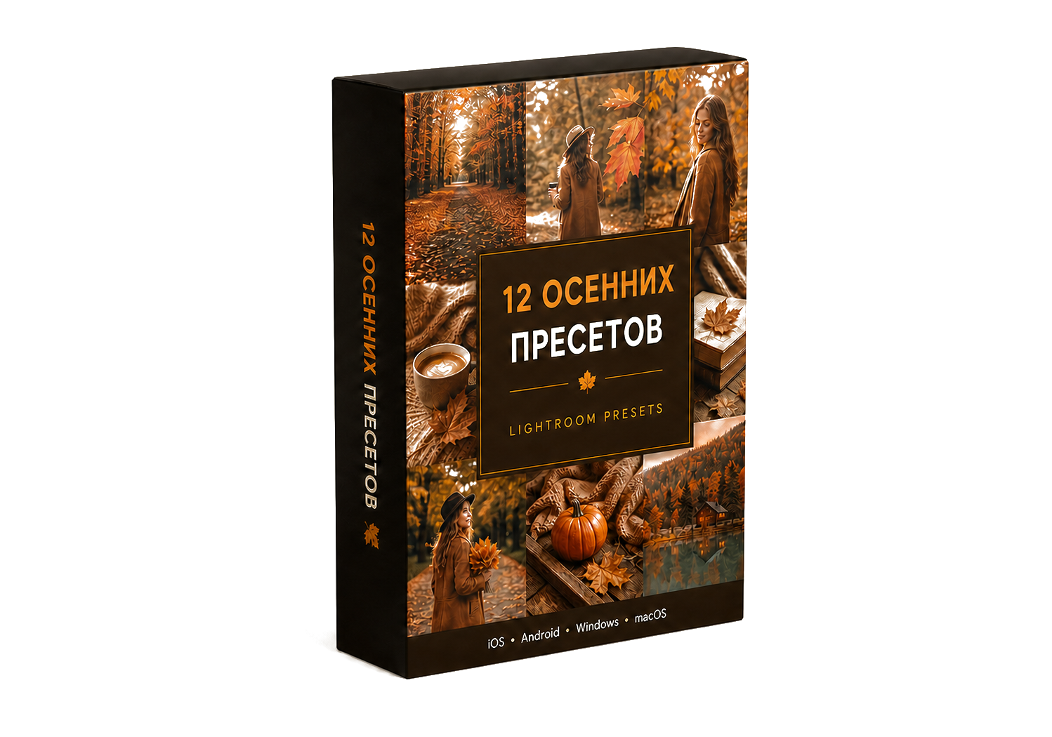 Коробка полного пакета из 12 осенних пресетов Lightroom