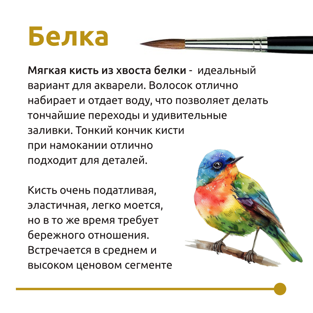 Кисть белка для детского рисования - какие лучше?