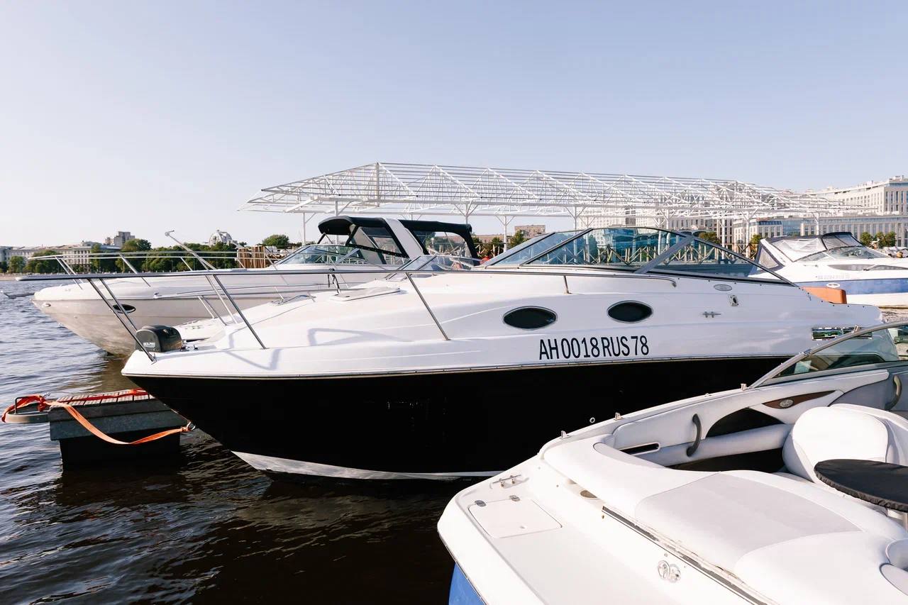 Катер Regal Brown для ночной прогулки в Петербурге