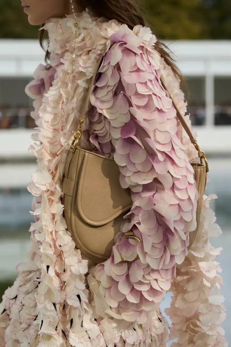 Сумки Dior Spring 2027 3