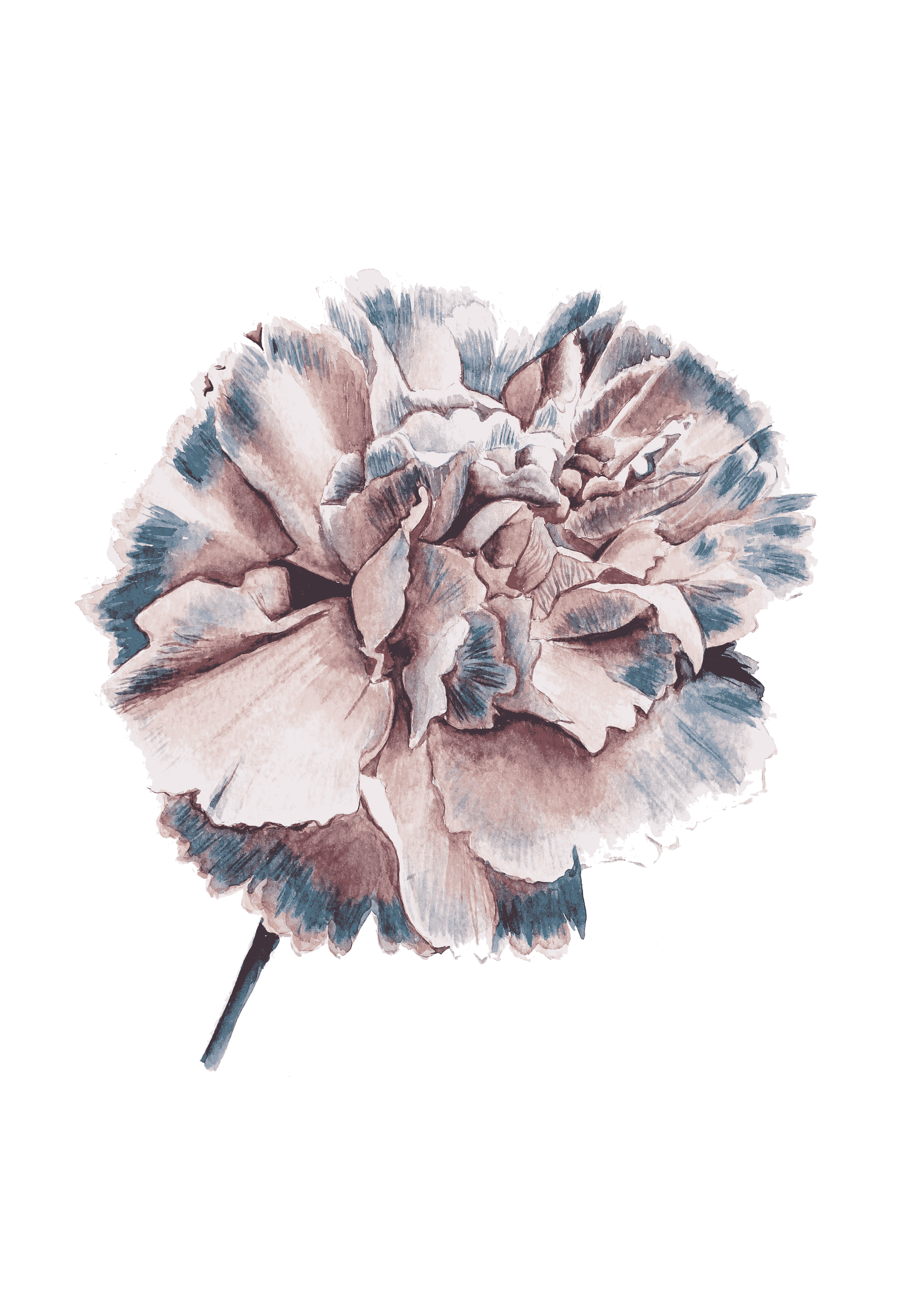 ботаническая живопись уроки | ШКОЛА FANTASY ROOM