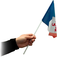 флаг маленький