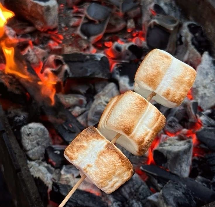 Отдых с детьми на природе в Подмосковье