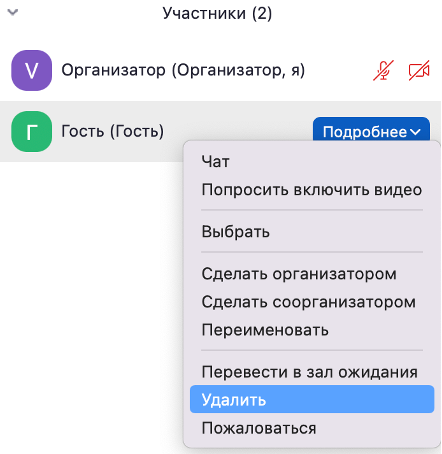 Removing a participant from the Zoom participants list via the More menu