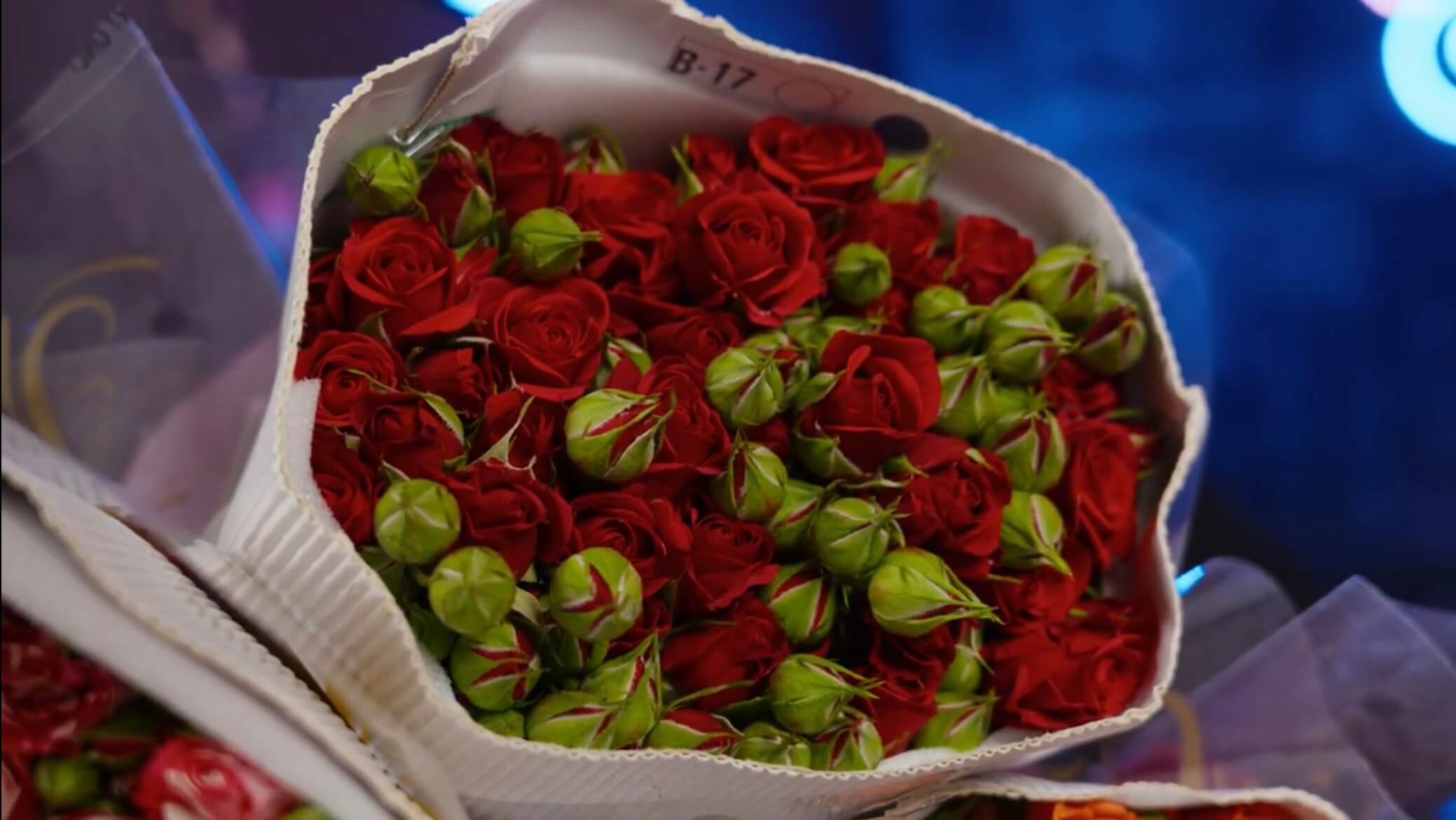 Красная роза