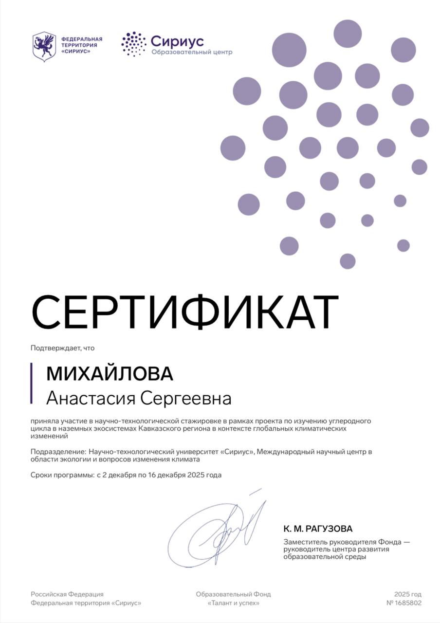 Диплом Анастасии Михайловой