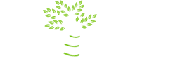 Услуги