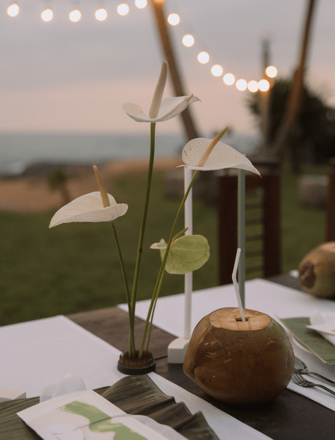 Neponaroshky-wedding-svadba-krym