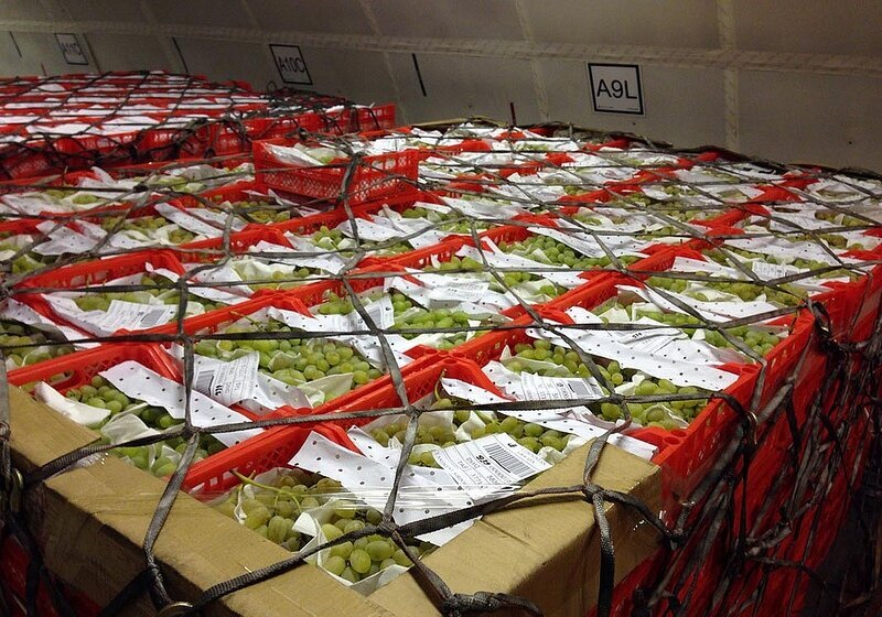 виаперевозка свежих продуктов