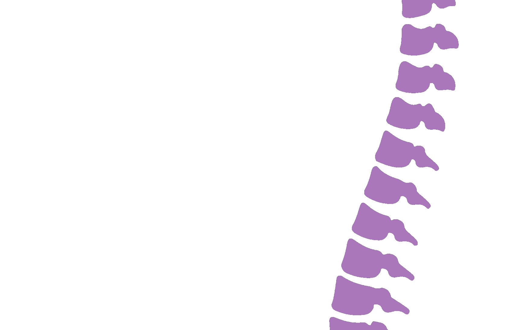 Об авторе методики Бубновского - официальный сайт Санкт-Петербург