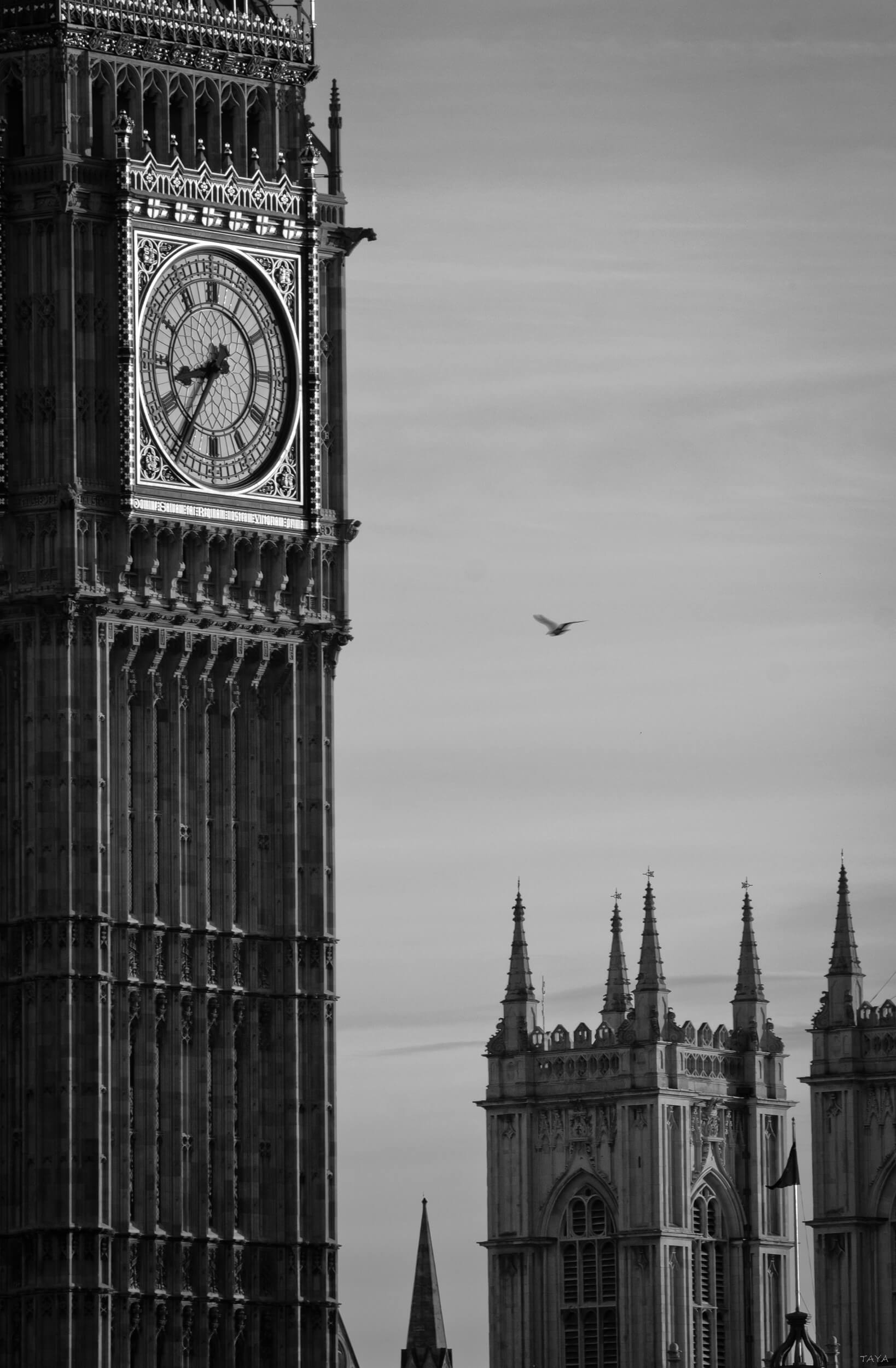 street, photography, black and white, city, people, bigben