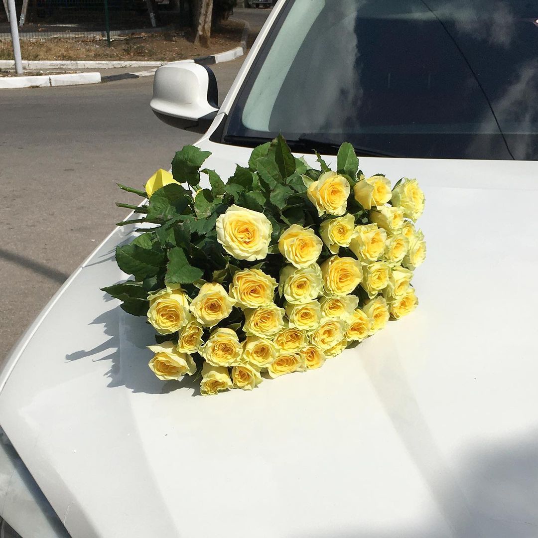 желтые розы