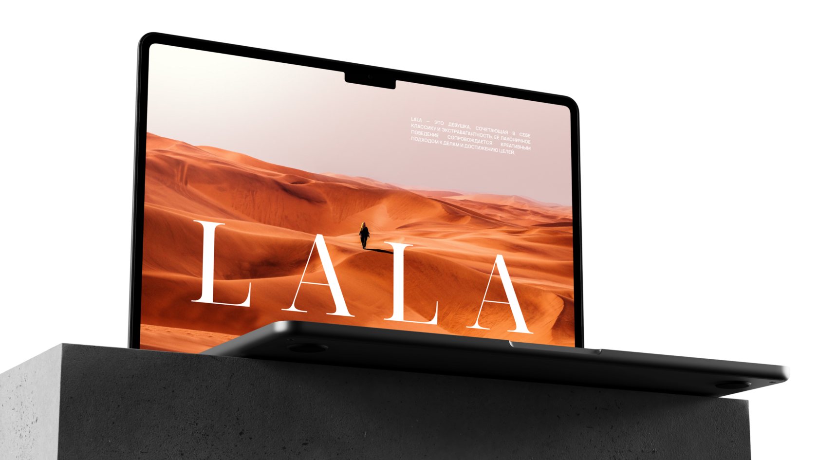 Презентация логотипа для диджитал агентства