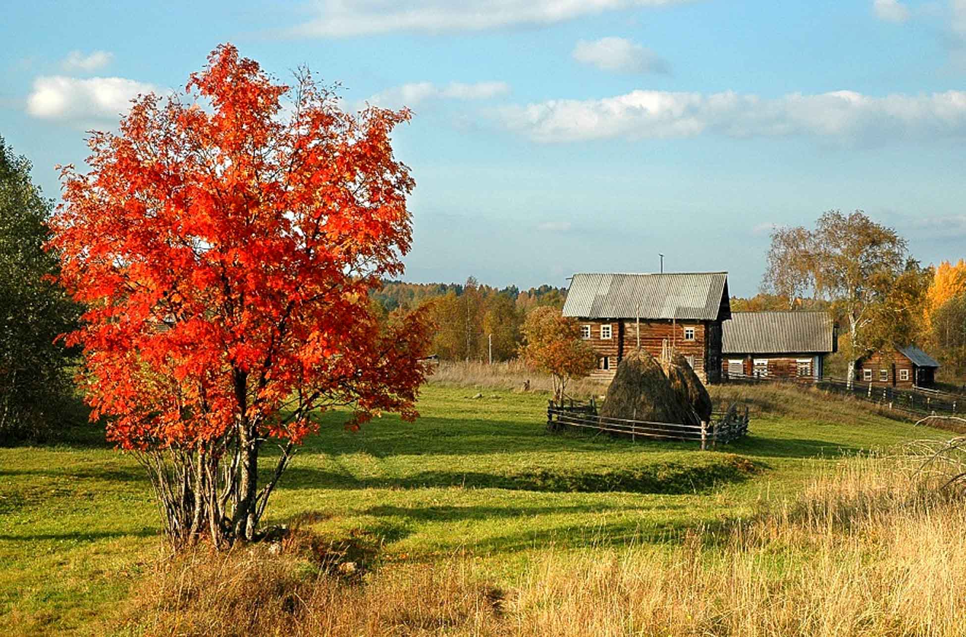 Кенозерский парк осень