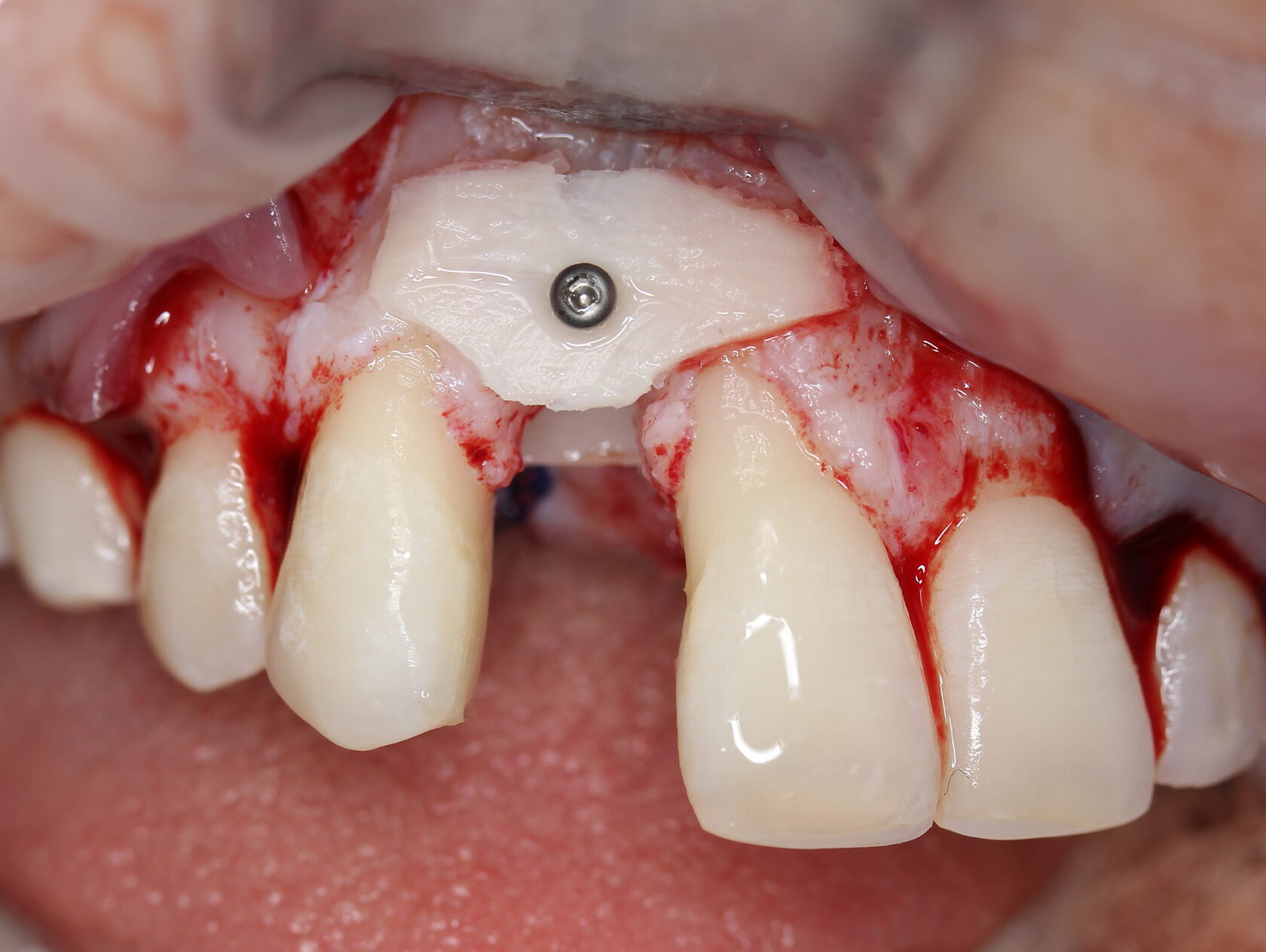 Фото с конференции 