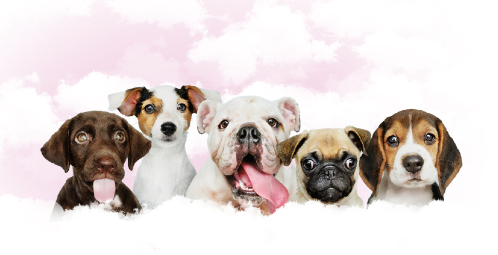 Зоосалон \"На Затонной\"