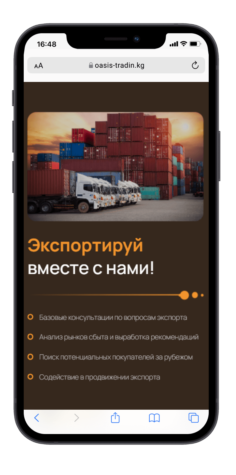 Студия веб-дизайна Шеиной Александры. Разработка сайта на тильде. Сделать сайт на тильде. Заказать сайт на тильде.