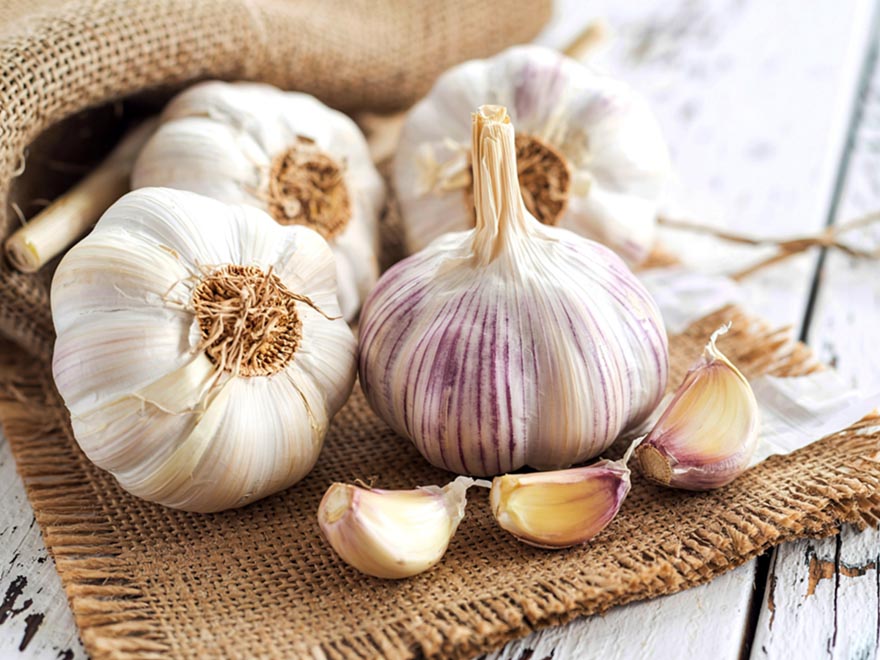Garlic bulbs and cloves on burlap, highlighting natural pest control for organic gardening.